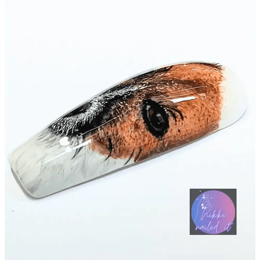 Custom Pet Portrait Nails | Luxury Press On Artificial Nails | 10pc Reusable Nail Set UK - Nikki Nailed it