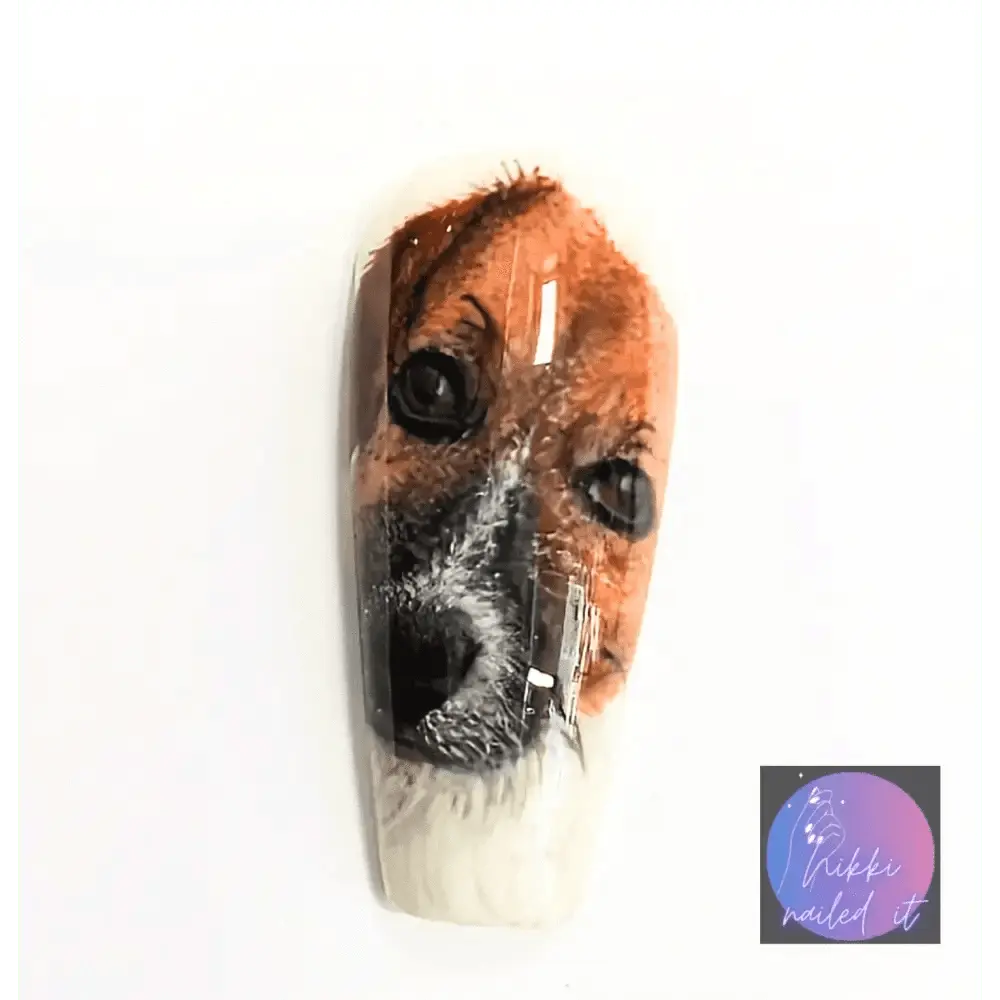 Custom Pet Portrait Nails | Luxury Press On Artificial Nails | 10pc Reusable Nail Set UK - Nikki Nailed it