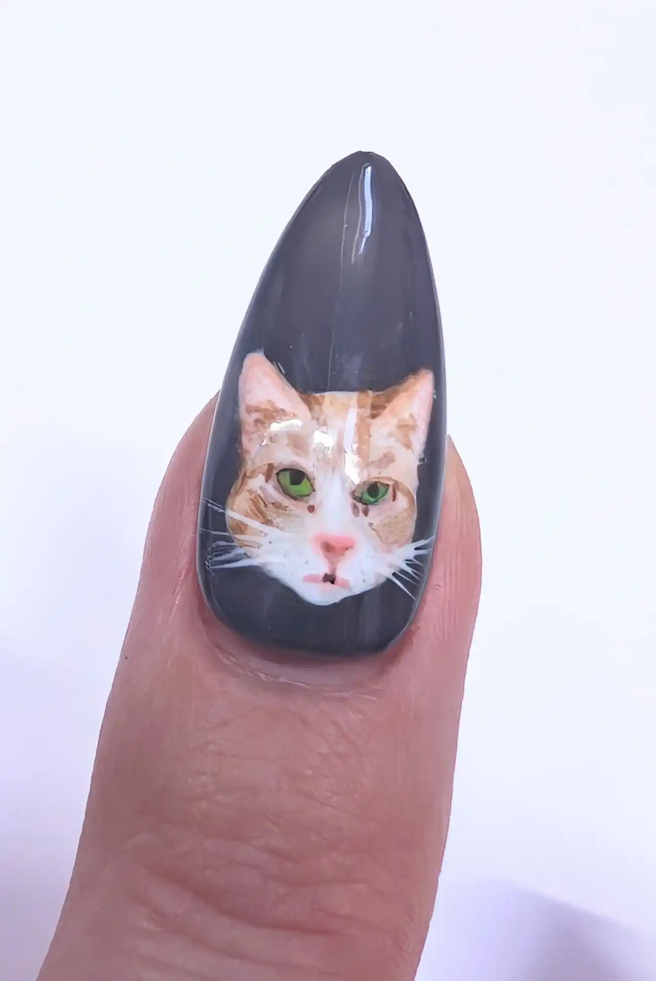 Custom Pet Portrait Nails | Luxury Press On Artificial Nails | 10pc Reusable Nail Set UK - Nikki Nailed it