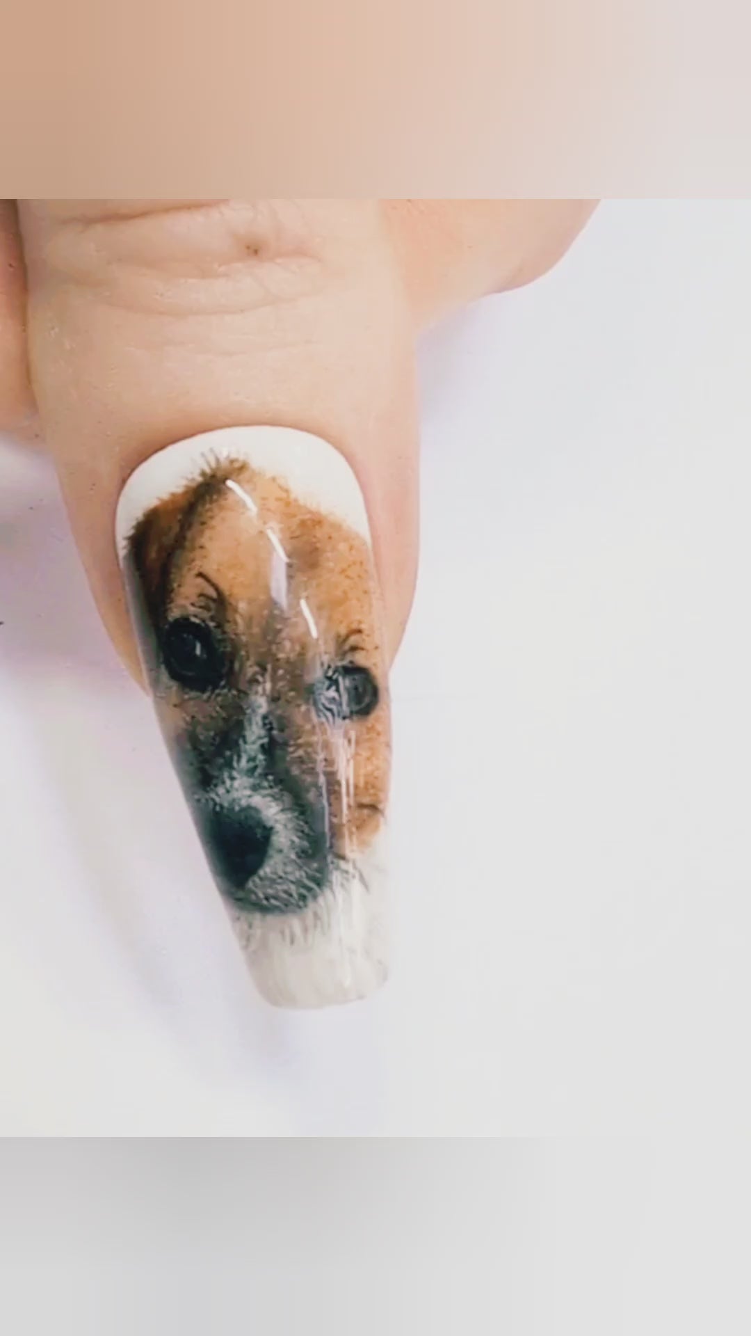 Custom Pet Portrait Nails | Luxury Press On Artificial Nails | 10pc Reusable Nail Set UK